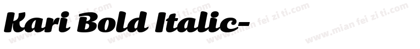Kari Bold Italic字体转换